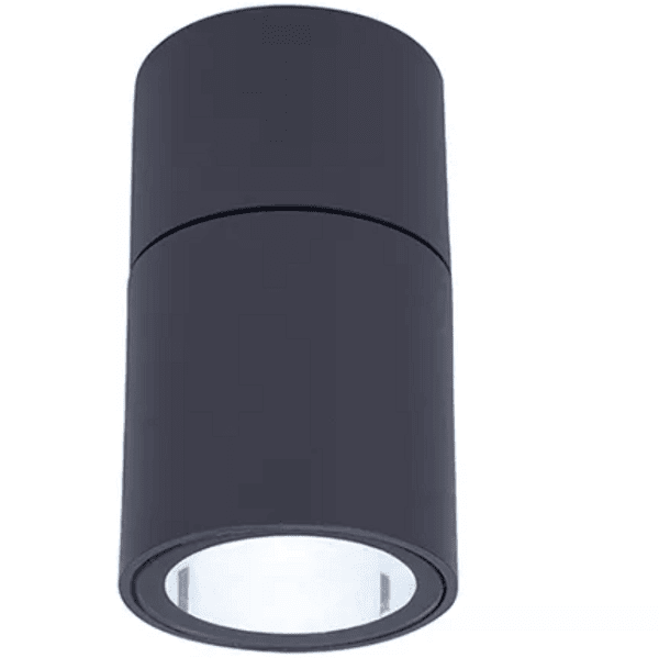 Cheap surface mounted Down Lamp Ceiling Outdoor Ceiling Light