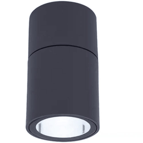 Cheap surface mounted Down Lamp Ceiling Outdoor Ceiling Light